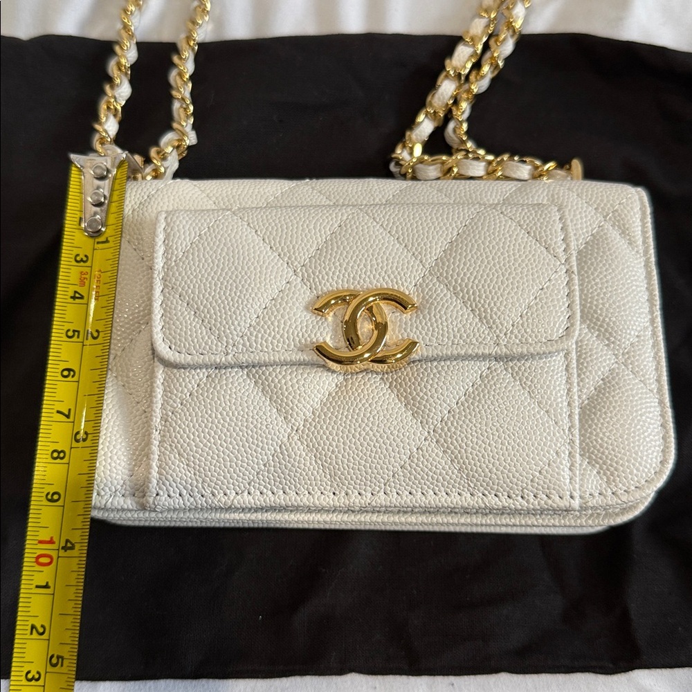 Chanel Monogram Envelope Chain Wallet - Picture 6 of 8